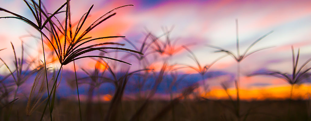 Photography Courses Toowoomba with Don Hildred, Master Photographer and Lecturer.